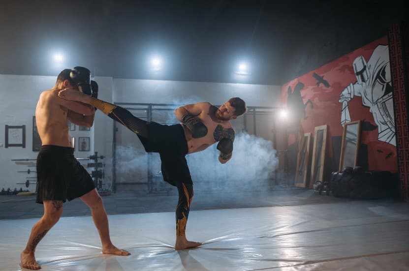 tipos de artes marciales malaga